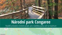 Národní park Congaree: Informace, co vidět a rady před cestou