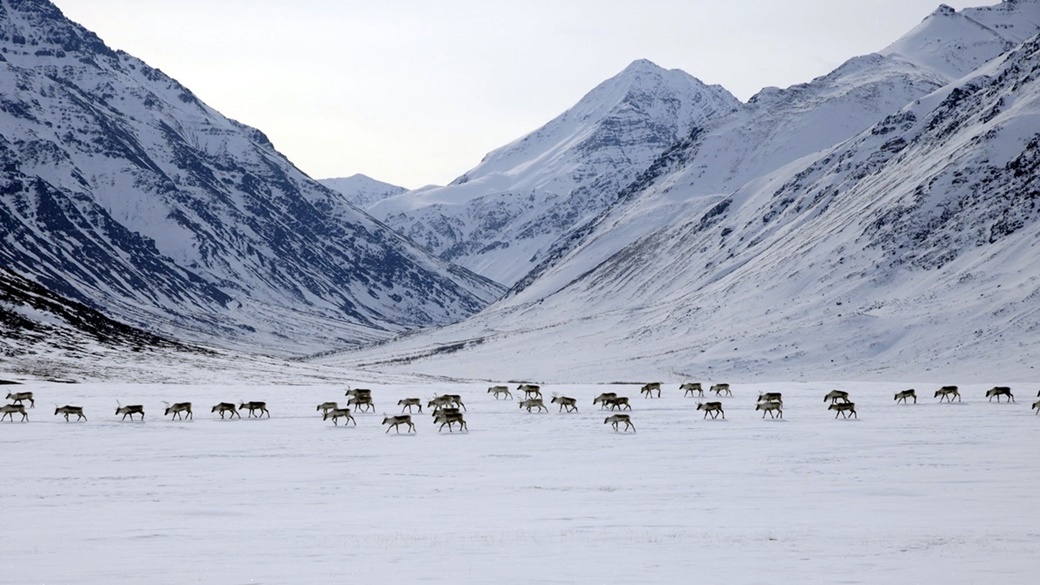 Národní park Gates of the Arctic | © Zak Richter/NPS