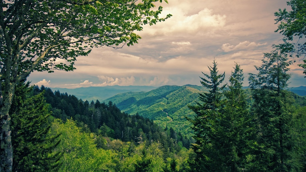 Great Smoky Mountains | © Pixabay