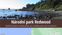 Národní park Redwood: Informace, co vidět, rady před cestou