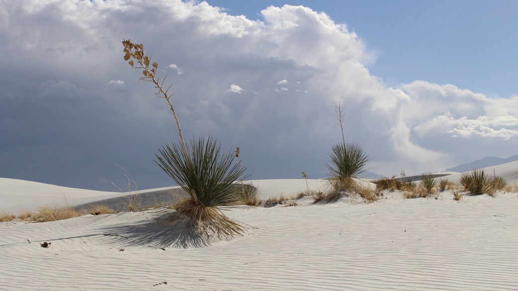 Národní park White Sands | © Pixabay.com