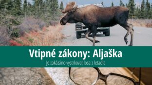 Vtipné zákony Aljaška: Je zakázáno vystrkovat losa z letadla