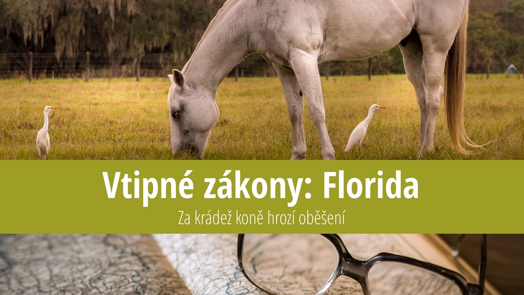 Vtipné zákony Florida: Za krádež koně hrozí oběšení
